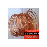 BAKIRSAN 1MM SAF BAKIR TEL 1MT 1MM KAPLAMASIZ SAF BAKIR TEL 1MM KAPLAMASIZ SAF BAKIR TEL BENSU PENDİK