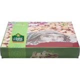 Bakkal Hasan Gaziantep - Hurma Kudüs Duble - 4 kg