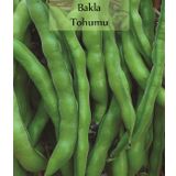 Bakla Tohumu 1 Paket (25 Gr=20+ Adet) Yerli Bakla Tohumu