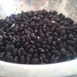 Baktar Doğal Black Turtle Siyah Fasulye Tohumu 10 Tohum