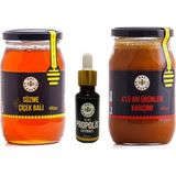 Bal Akademisi 3'lü Fırsat Paketi (Çiçek Balı - 4'lü Karışım - Propolis) - 850 gr