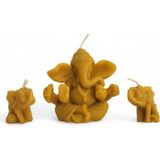 Bal Mumu Ganesha ve Ikili Küçük Fil Set - Gold