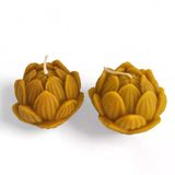 Bal Mumu Lotus Çiçeği İkili Set