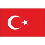Bal10 Dünyası 50X75 cm Alpaga Bez Kumaş Türk Bayrağı