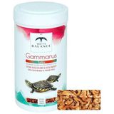 Balance Gammarus (Karides) Kaplumbağa Yemi 100 ml - Option-1