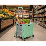 Balatlı FP548 Katlanabilir Portatif Alışveriş ve Pazar Arabası 40 kg Kapasiteli
