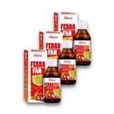 Balen Ferrofan Demir Çinko Kuşburnu Spirulina Ekstresi 3 x 150 ml
