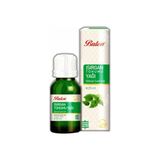 Balen Isırgan Tohumu Yağı Soğuk Pres Bitkisel Sabit Yağ Içilebilir 20 ml - 10 ml