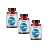 Balen Mag 3 Magnezyum Sitrat Bisglisinat Malat 679 Mg Takviye Edici Gıda 3 x 60 Kapsül