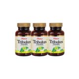 Balen Tribulus Terrestris 620 mg 3x60 Kapsül