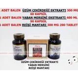 Balen Üzüm Çekirdeği+yaban Mersini+reishi Mantarı (Ganoderma)