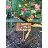 Balık Tutmak Yasaktır Akvaryum Dekor – 6x5 Cm, Mini Tabela Modeli - 1
