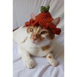 Balkabağı Bucket Şapka Turuncu Örgü Kedi Köpek Şapkası Pumpkin Halloween Dekor Pet Aksesuarları
