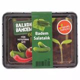 Balkon Bahçem Salatalık Fide Yetiştirme Kiti (6'Li Paket)