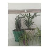 Balkon Filesi 1X6 M Kedi Filesi Kuş Filesi Kedi Koruma Filesi