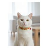 balkonda Kedi Kolyesi Tasma Ayarlanabilir Floş İp Galatasaray Sesli Zilli