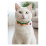 balkonda Kedi Kolyesi Tasma Ayarlanabilir Floş İp Örgü Yeşil Boncuklu Sesli Zilli