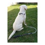 balkonda Köpek Gezdirme Kayışı Tasması Boğma Model 12 cm Çap İskoto Halat