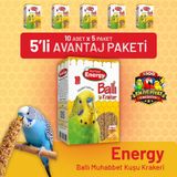 Ballı Muhabbet Kuşu Krakeri 10'lu- 5 Adet 10 Adet