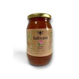 Ballivane Artvin Murgul Orman Gülü Balı (DELİ BAL) 500g
