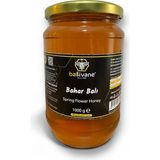 Ballivane Şavşat Bahar Çiçek Balı 1kg - 1 kg