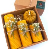 Balmumu Mum Dekoratif Hediye Kutusu 4 Lü Set Doğal Petek Beeswax Candle Bal Kabağı (Krem Yeşil - Çok Renkli