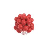 Balon Diyarı 15 adet Kırmızı Renk Kaliteli Mat Pastel Balon