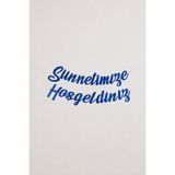 Baloncu Nene Sünnetimize Hoş Geldiniz Yazılı Mavi Banner Sünnet Süsü 20x210 cm