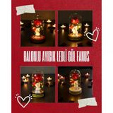 Balonlu Ayıcık Ledli Gül Fanus