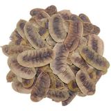 Baltea Açlık Otu 50G - Bitki Çayı