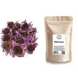 Baltea Ekinezya 50G - Bitki Çayı
