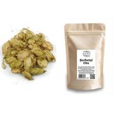 Baltea Şerbetçi Otu 25g - Bitki Çayı