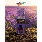 Bambinox Bambu Çubuklu Oda Kokusu (Lavanta) 120ML x 24