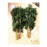 Bambu 5 Adet Çubuk Yapay Ağaç Çubukları Bahçe Balkon Ev Dekor Bitki Ağaç Süs Gövde Botanik Bmb100cm.2