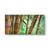 Bambu Ağaçları Tablosu 100 x 50