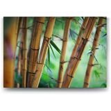 Bambu Ağaçları Tablosu - 125x80cm
