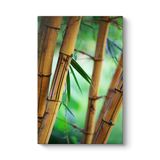 Bambu Ağaçları Tablosu 70 x 100