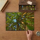 Bambu Ağaçları Tasarımı 240 Parça Ahşap Puzzle Ahşap Kutuda MP05126
