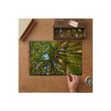 Bambu Ağaçları Tasarımı 240 Parça Ahşap Puzzle Ahşap Kutuda MP05126