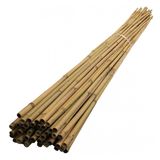 BAMBU BİTKİ DESTEK ÇUBUĞU 150 CM 10 ADET