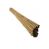 Bambu Bitki Destek Çubuğu 150 Cm (25 Âdet)