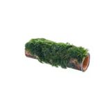Bambu Canlı Bitki, Marimo Moss, Doğal Dekor