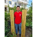 Bambu Fidan Bitki Destek Çubuğu 10 Adet 2 Metre Boy