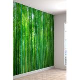 Bambu Ormanı Desenli Silinebilir Sağlıklı Tekstil Duvar Kağıdı, 300 x 240