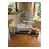 BAMBU PETSHOP Muhabbet Kuşu Kafesi Süper Full Set - Yem, Tül, Vitamin ve Tüm Aksesuarlar Dahil Başlangıç Paketi