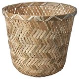 Bambu saksı, bambu, 15 cm