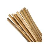 Bambu Sopası 210 cm 19-20mm Bambu Çubuğu 5 ADET