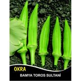 Bamya Tohumu Toros Sultani - 10 g (~ Takribi 100 Tohum)