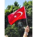 Bannersbay 30 Adet 20x30 Sopalı Türk Bayrağı 120 G/m² | raşel , dijital Baskı, sopalı kumaş türk bayrağı