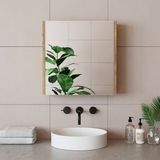 Banos Banyo Roomart Ad7 Kulpsuz Tek Kapaklı Ahşap-Mat Beyaz Mdf 60 cm Aynalı Banyo Üst Dolabı BANOS1753 - Atlantik Çam - Beyaz